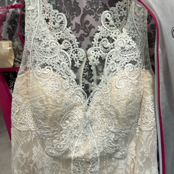 Elegant Lace Wedding Dress - Picture 9 of 15